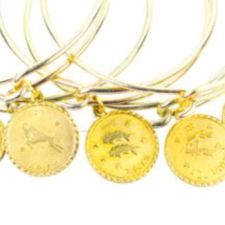 COIN ZODIAC BRACELET PROGRAM (KIT OF 24) for wholesale by The Luxe Group