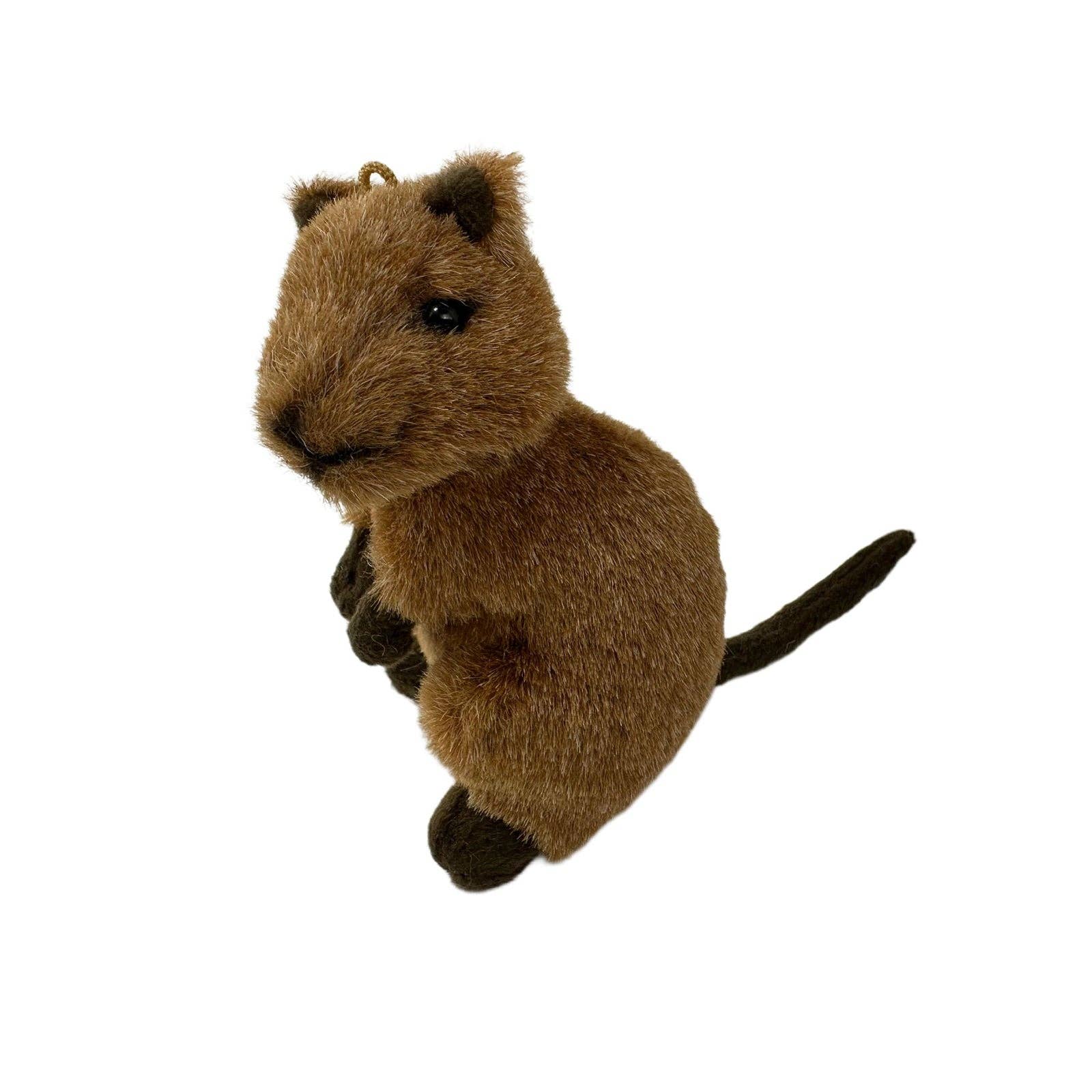 Bocchetta Plush Toys - Wholesale Stuffed/plush toy – Kids & baby - Mini Quokka - Mini Quokka - 14cm2