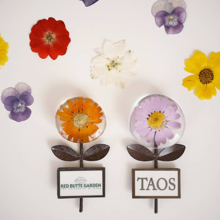 Sunnie Lane - Wholesale Magnet - Real Flower Magnet w/Stem - Custom Magnets