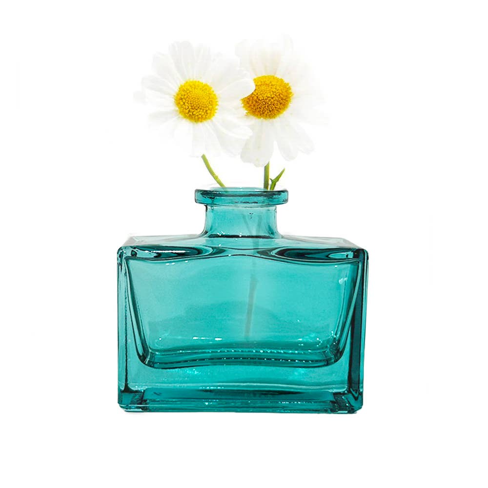 Chive - Wholesale Vase - Loft  Colorful Transparent Bud Vase Set Oval, Round, Square30