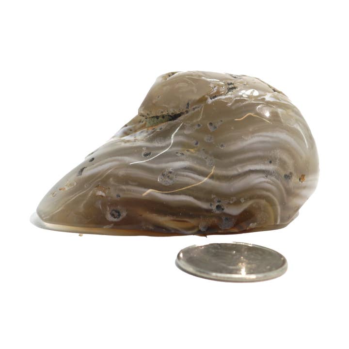 Stonebridge Imports – Engroshandel Spirituelle sten og krystaller – Enhydro Agat Geoder - 2 1/2"0