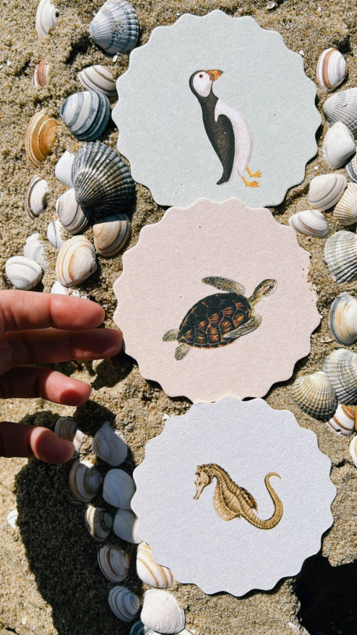 30x40 - Wholesale Coasters - Coaster Set Good Vibes 🍀🐓🐢 UPDATE - New Designs15