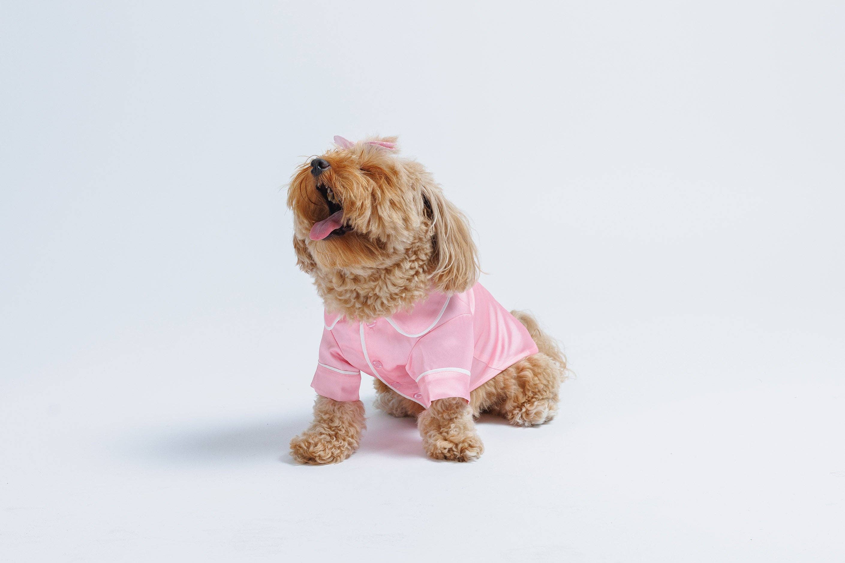 Both Tails - Wholesale Pet Pajamas - Dog - Pink Pet PJs4