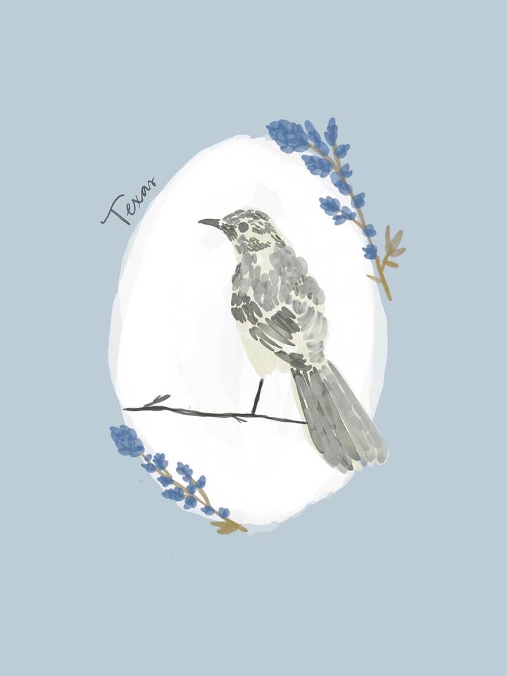 Texas State Oiseaux & Fleurs pour la vente par Daley Kaye Studio