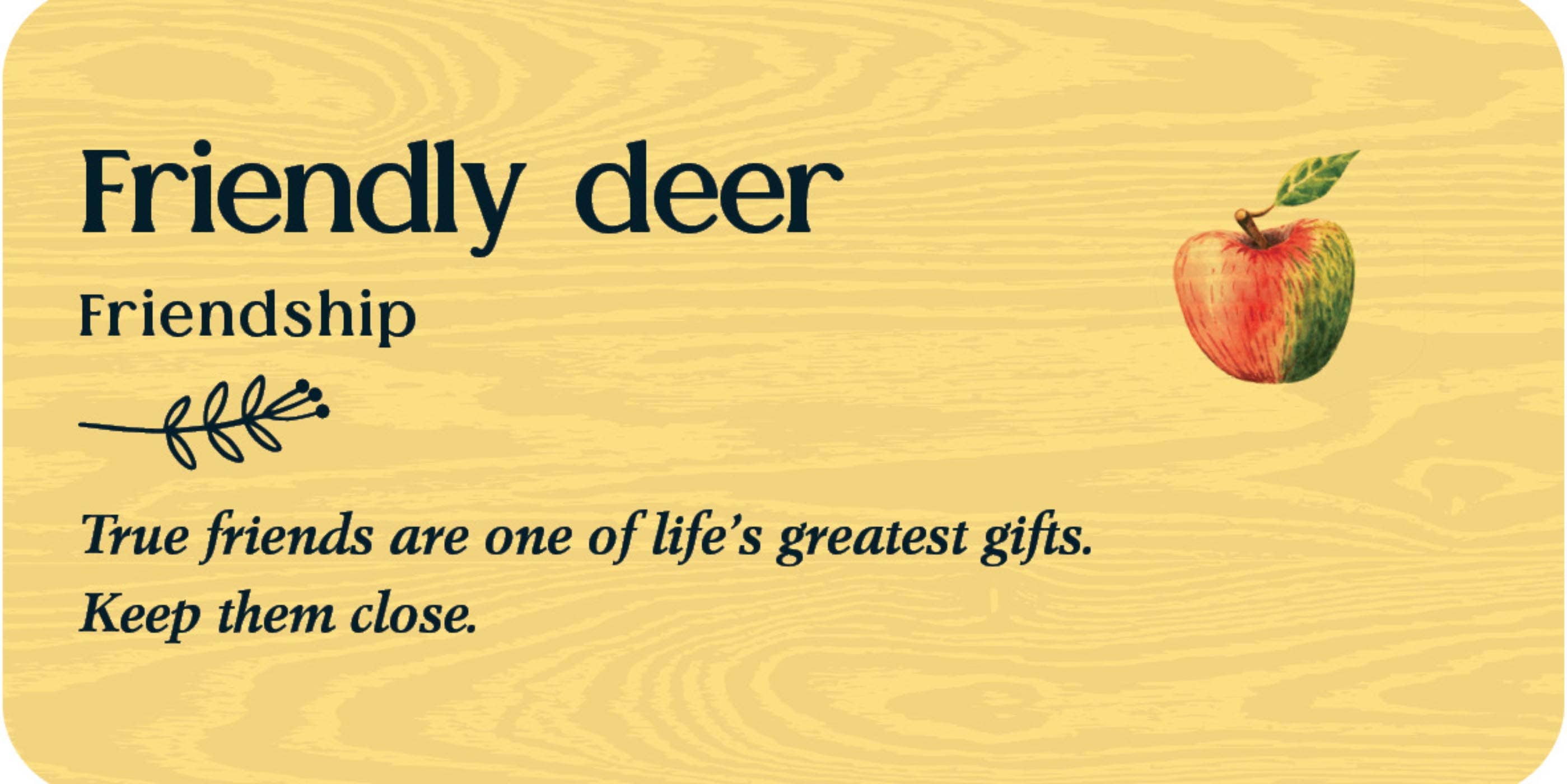 Simon & Schuster UK – wholesale Tarot cards – Forest Friends3