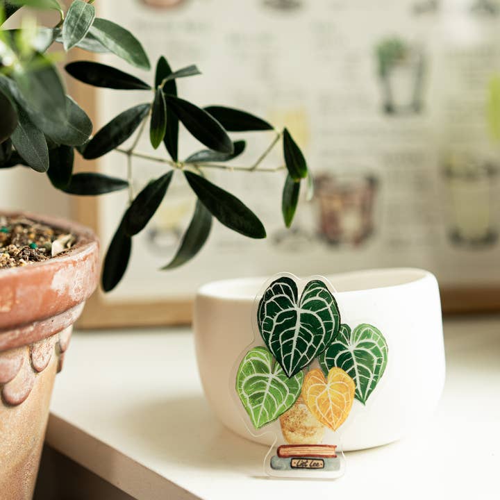 ZOETSTUDIO - Wholesale Magnet - Double-sided Tropical Plant Magnets