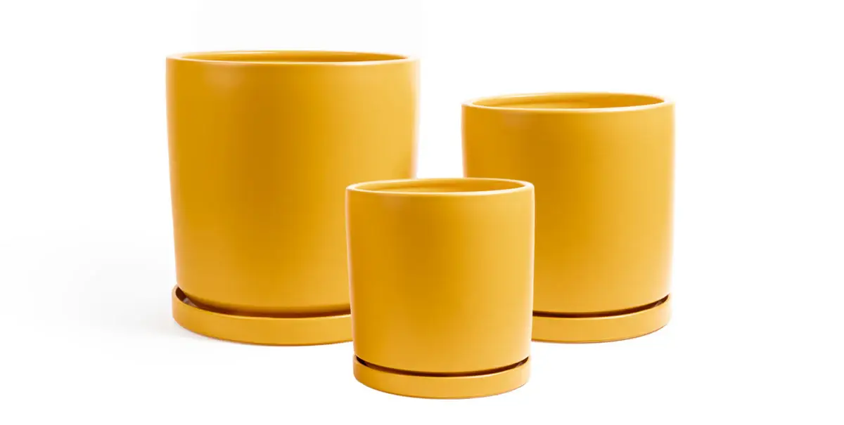 Momma Pots - Wholesale Plant Pot - 8.5"+10.5"+12.5" Cylinder Pots w/ Water Saucers (1pc each) 4