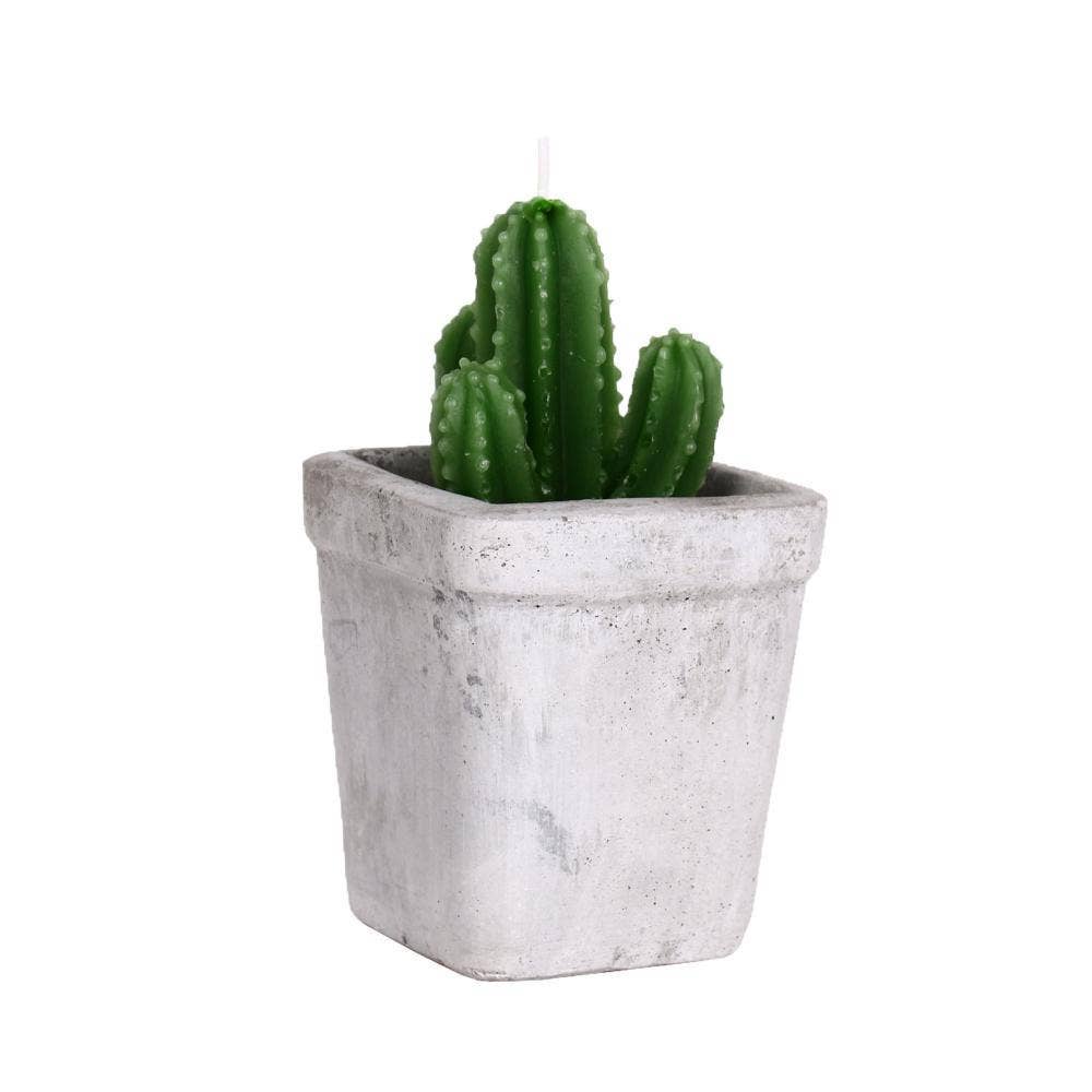 Helio Ferretti Candles & Co. - Wholesale Novelty Candle - CACTUS CEMENT CANDLES HF1