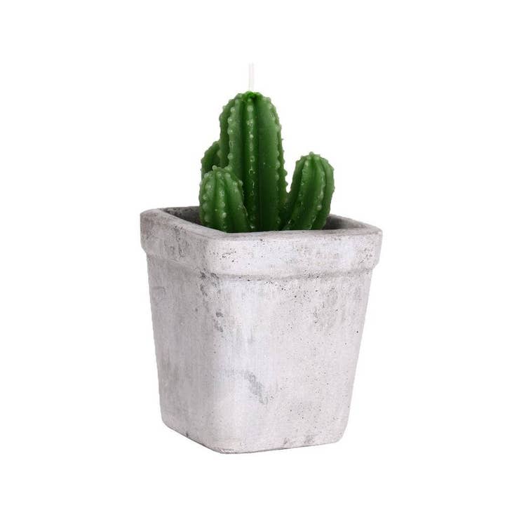 Helio Ferretti Candles & Co. - Wholesale Novelty Candle - CACTUS CEMENT CANDLES HF1