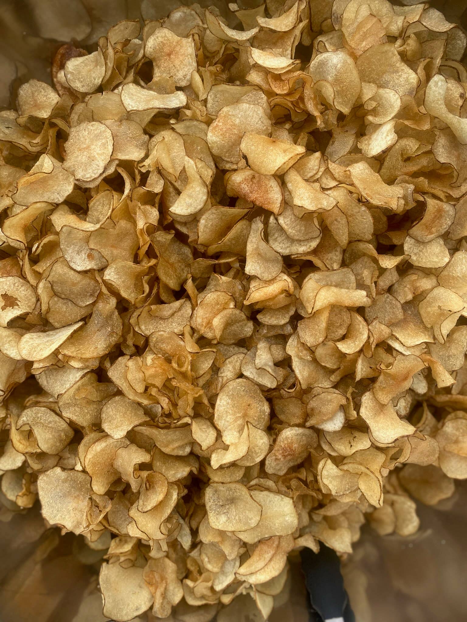 FAT Chips - Wholesale Chips - Classic FAT Chips, 1oz, 24-Pack5