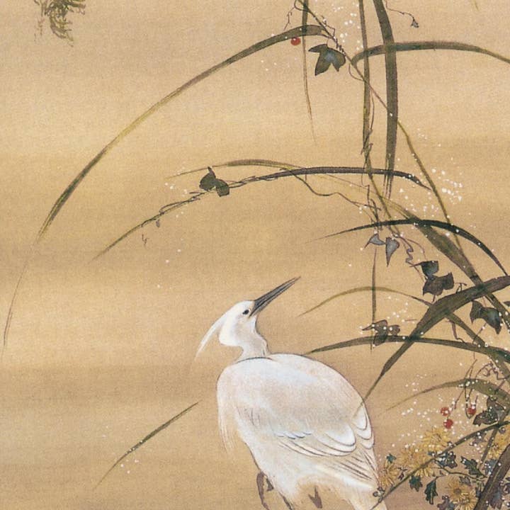 FANGE 10,5X21 DOPPELKARTEN NC4881 für den Großhandel von Phenicia