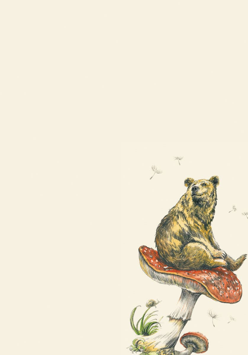 Roger La Borde - Wholesale Stationery/Notecard Set - Flying Bear Letter Writing Set  - WS 0783