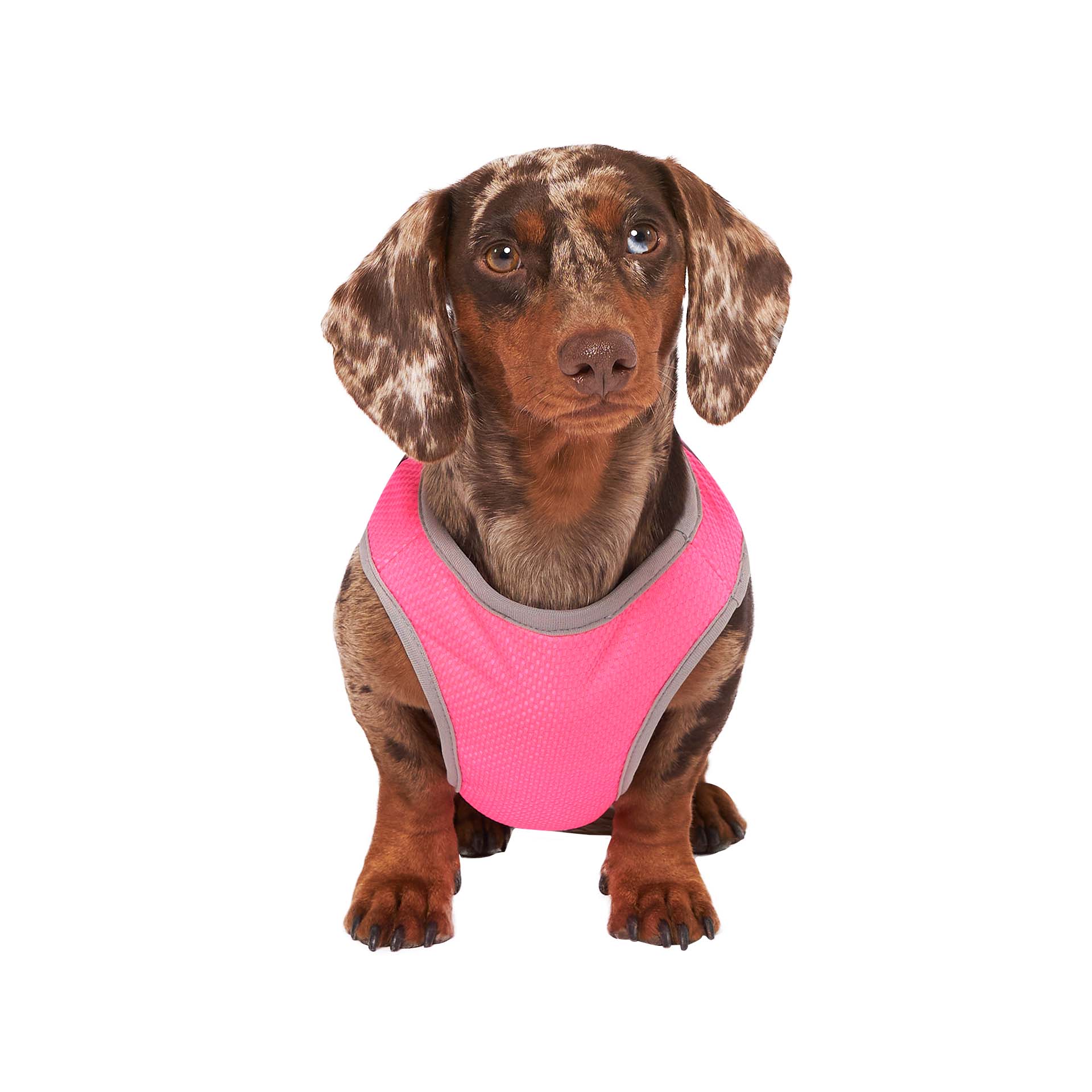 Neon Lyserød Chill Seeker hundekølevest (Neon Pink) for engroshandel på Faire1