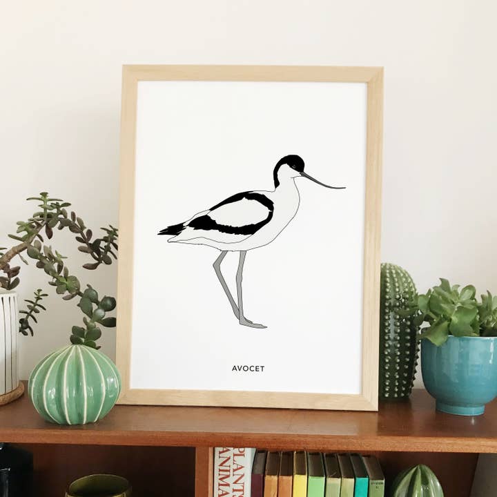 Individual bird prints for wholesale by Kate Broughton