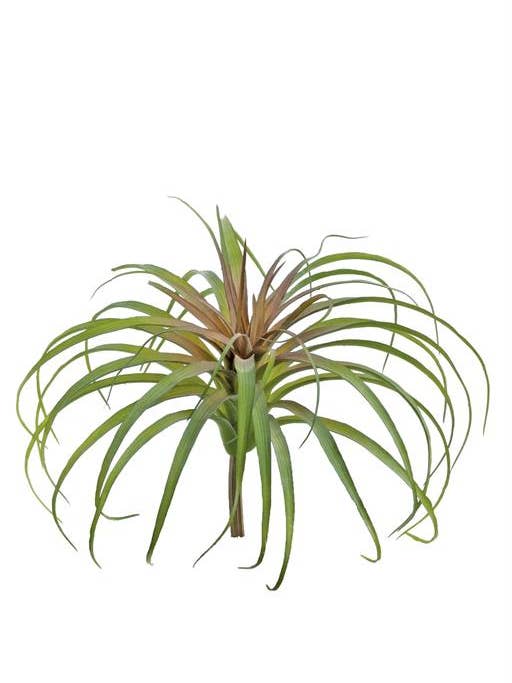Tillandsia, 10", Sage/Red for wholesale by Select Artificials, Inc.