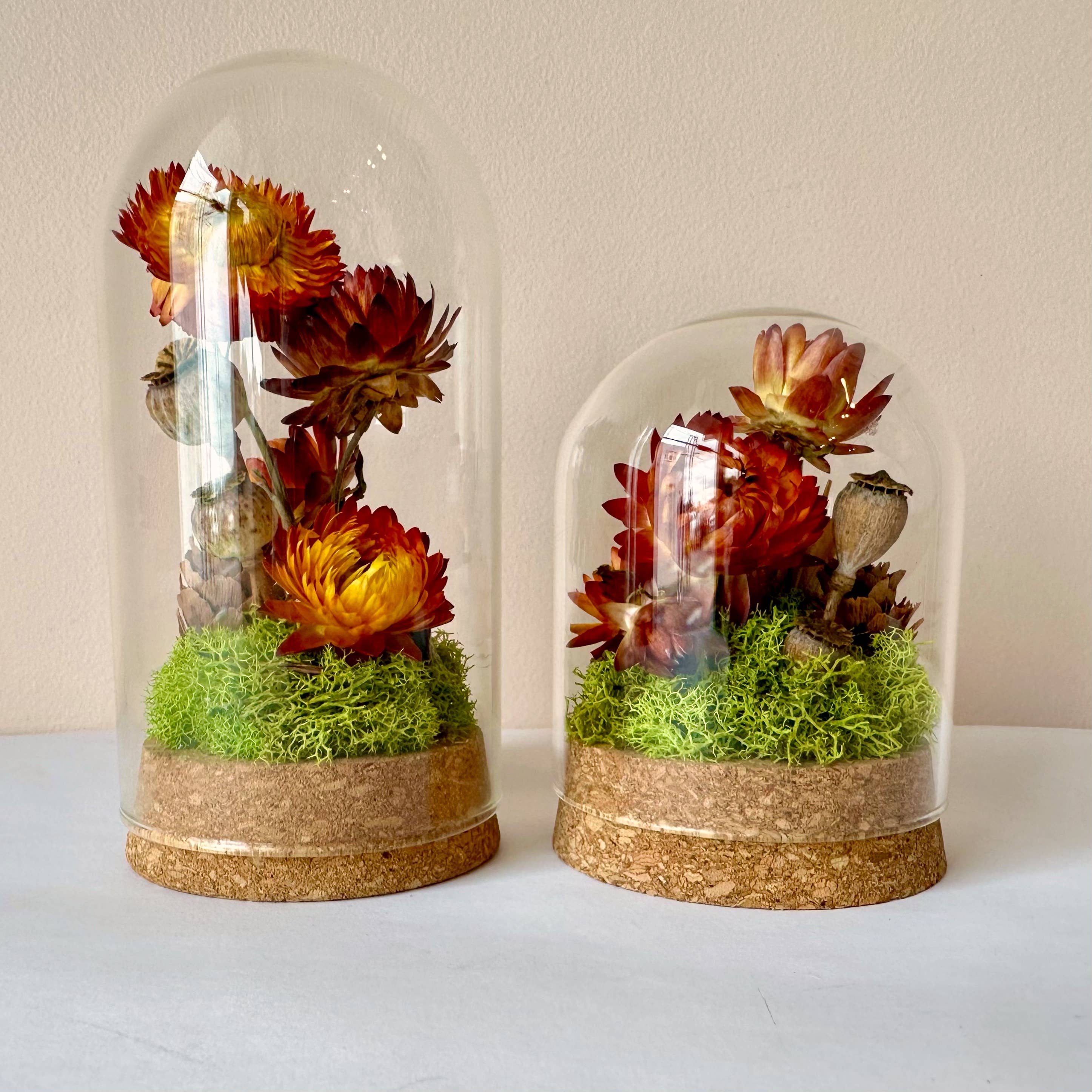 CA Studios - Wholesale Terrarium - Large Botanical Glass Terrarium Jar w. Dried Orange Florals1