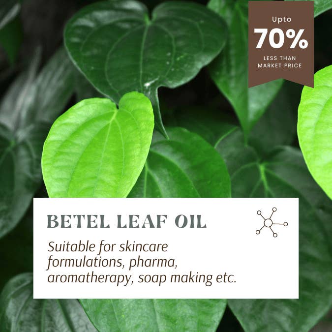 Aromachology - Wholesale Essential oil - Betel Leaf Oil3