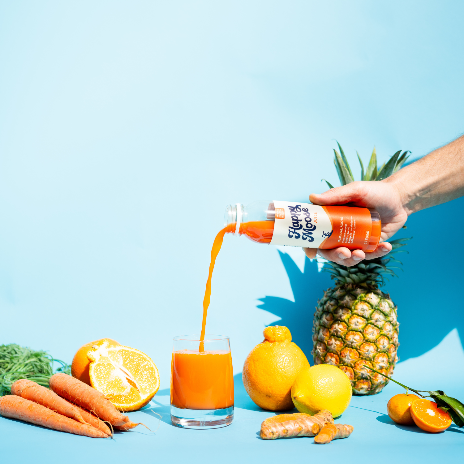 Happy Moose Juice - Wholesale Wellness Juice/Tonic - Coffee Shop Starter - Cold-Pressed Juice - 4 Recipes x 93