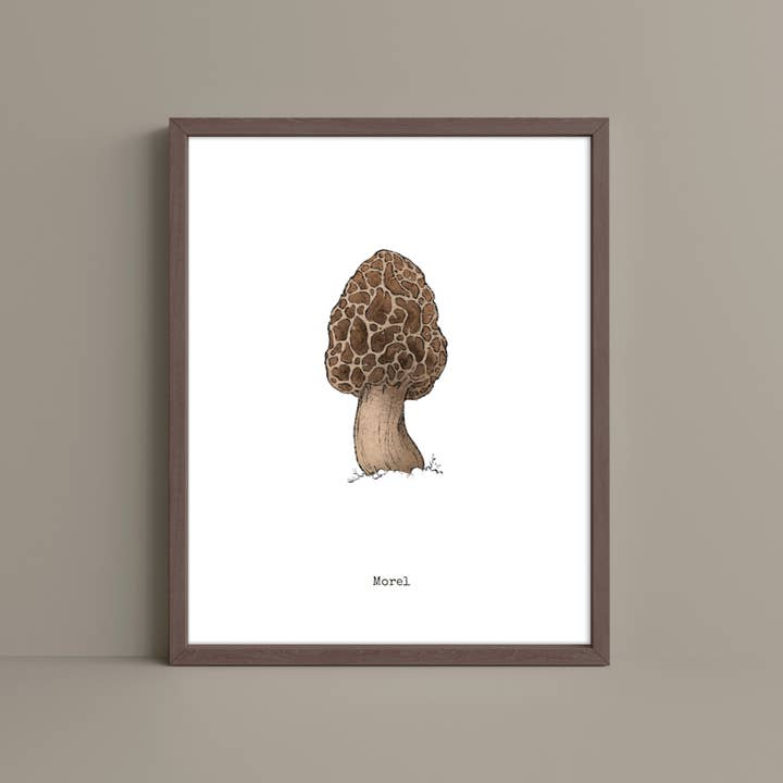 The Ugly Cat Studio - Wholesale Art Print - Morel Mushroom - Botanical Art Poster Print