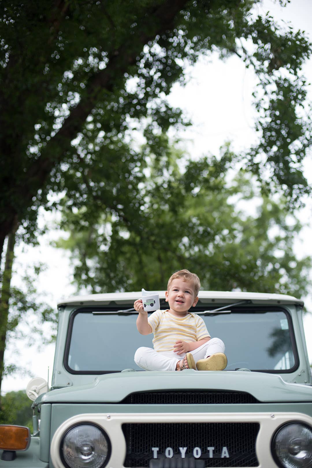 Helmsie - Wholesale Drinking Glass/Cup - Kids & Baby - Vintage Truck Sippy Cup1