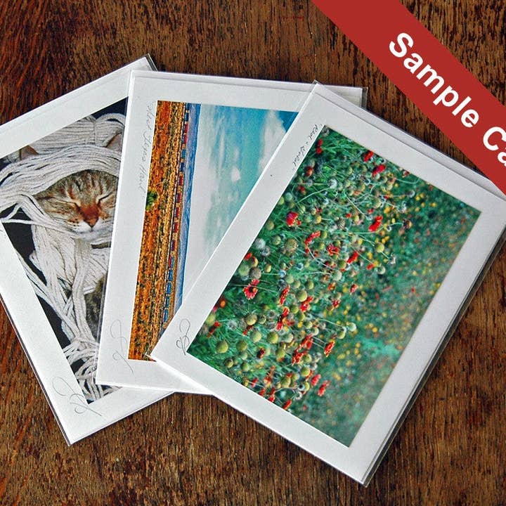 Ann Woodall Studios - Wholesale Everyday Greeting Card - Enchanted Florist