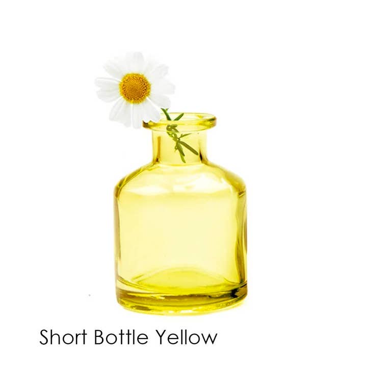 Chive UK - Wholesale Vase - Loft Colorful Transparent Bud Vase Set Oval, Round, Square30