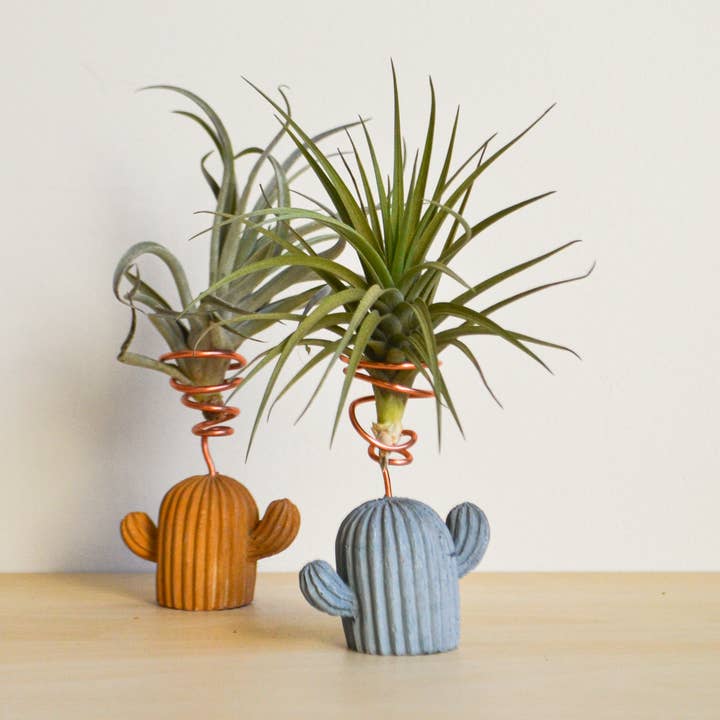 LindaMakess – wholesale Plant pot – Mini Cactus Holder4