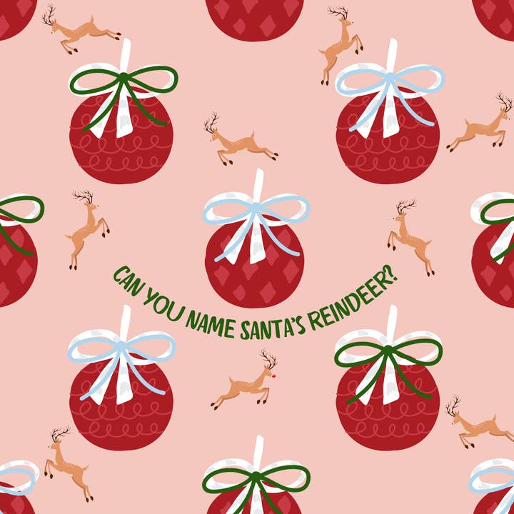 Shop Damus - Wholesale Disposable placemat - Christmas Paper Placemat1