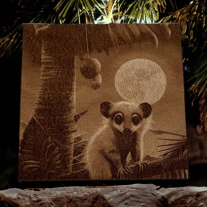 Ensemble de sous-verres en forme d'opposum pour bébé mignon pour la vente par Planty'tude