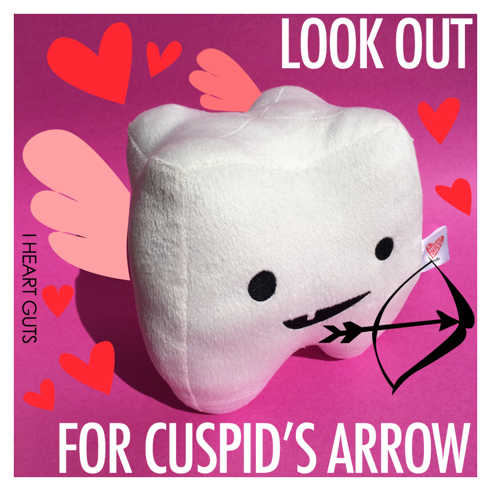 I Heart Guts | Organ Plushies Wholesale – wholesale Fyllda/plyschleksaker - Barn och baby – Tandplysch - Du kan inte hantera tanden2