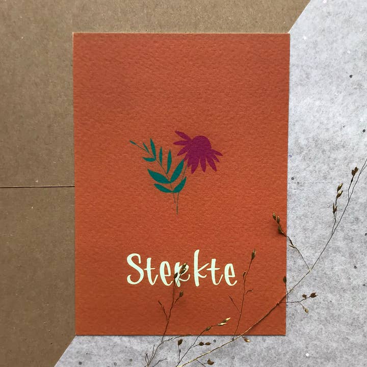 styrka för wholesale av JUDITH maakt