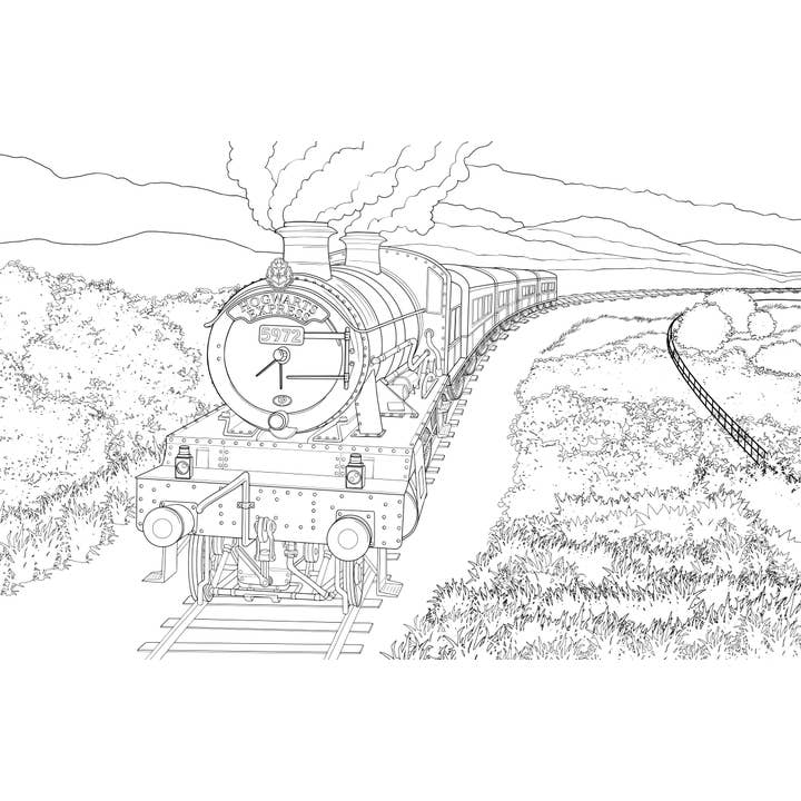 Insight Editions - Vente Livre de coloriage – adulte - Harry Potter : Poudlard : un livre de coloriage officiel