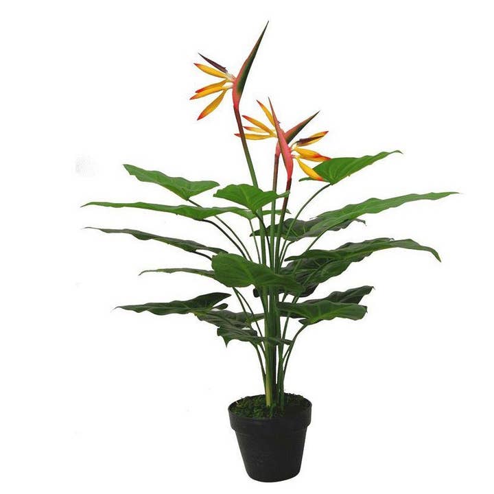 Tropical Artificial Plants Paradise Plant 70cm House Plant for wholesale by Leaf Design UK LTD