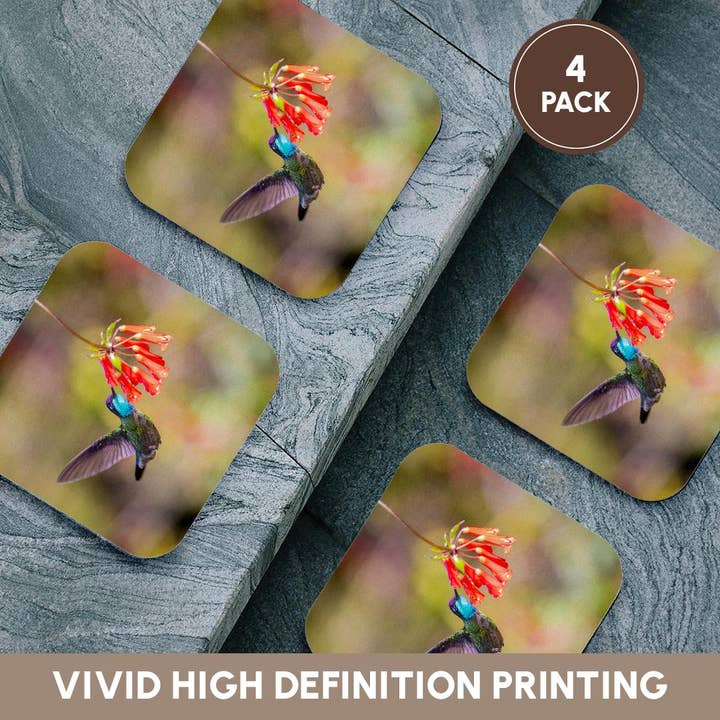 3dRose - Wholesale Coasters - 3dRose, Costa Rica. Male talamanca hummingbird feeding, Coaster12