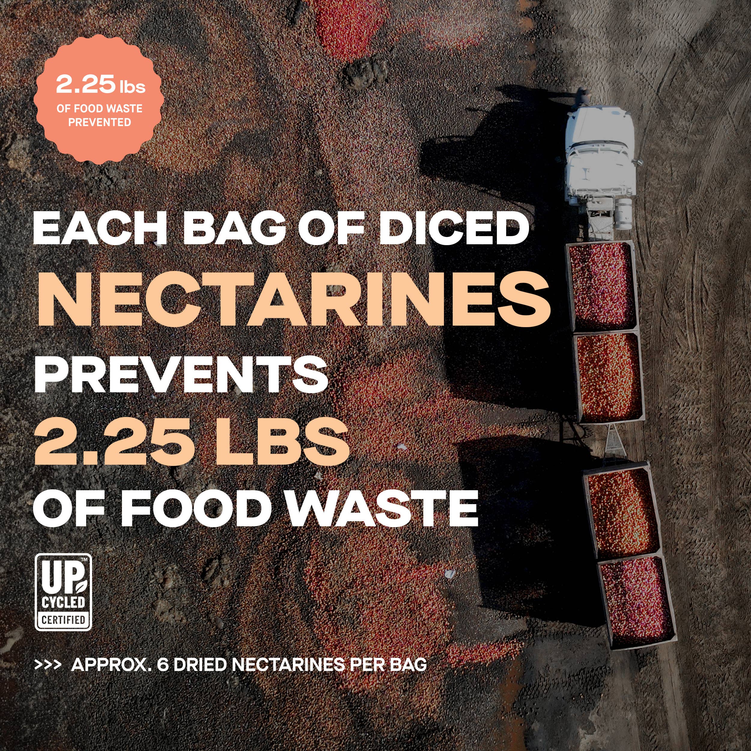 The Ugly Company - Wholesale Dried/Dehydrated Fruit - 4oz Dried and Diced Nectarines3