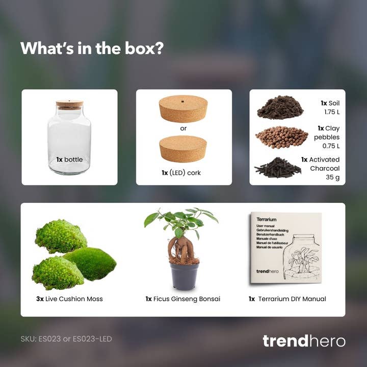 Trendhero.nl/b2b - Wholesale DIY Craft Kit - Milky Bonsai - Terrarium - Bottle garden DIY kit - Ø 21 cm ↑ 30 cm3