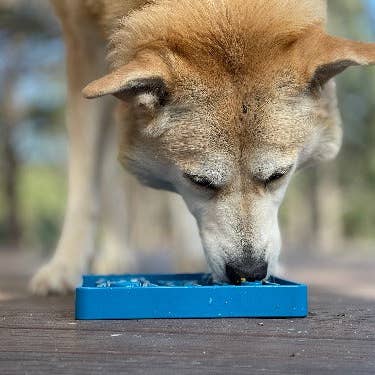 SodaPup Dog Toys - Wholesale Pet Food Mat - Dog - Waiting Dogs Design eTray Enrichment Tray for Dogs8