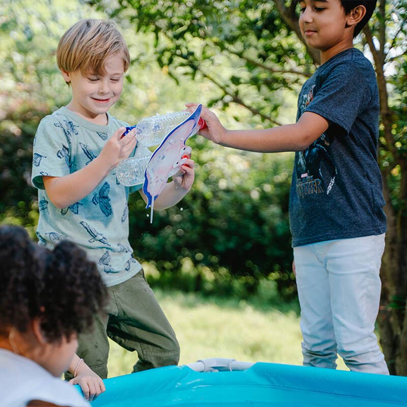 PlaySTEM - Wholesale Toy Set - Kids - Ocean Friends Hammerhead Shark & Manta Ray STEM Toy Set2