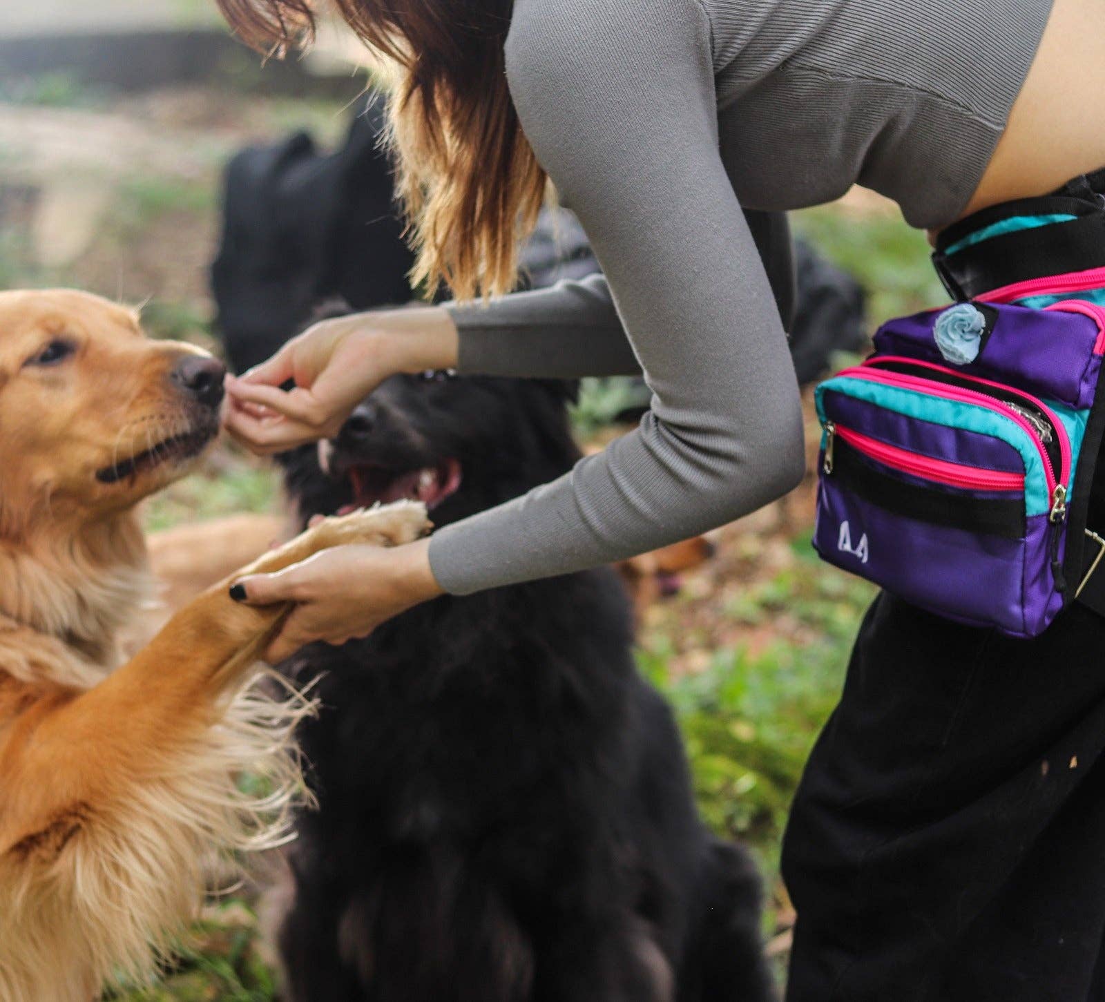 AkraCreations - Wholesale Pet Treat Bag - Dog - Slim Fit Thigh Treat Bag – Dog Training Pouch18