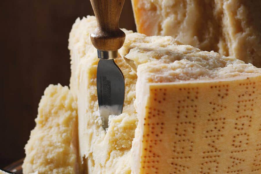 I MACORITTI - Wholesale Crackers - Mini Grissini I Macoritti with Parmigiano Reggiano PDO4