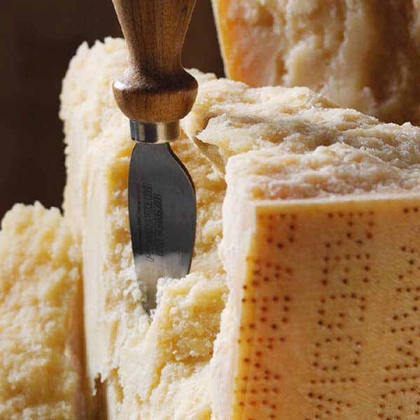 I MACORITTI - Wholesale Crackers - Mini Grissini I Macoritti with Parmigiano Reggiano PDO4