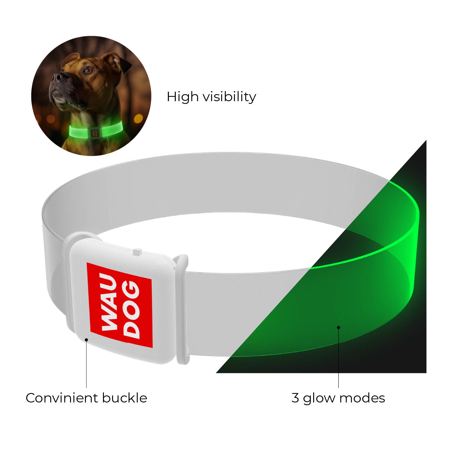 WAUDOG LED Collar — Bright LED, Adjustable Fit & Color for wholesale on Faire6