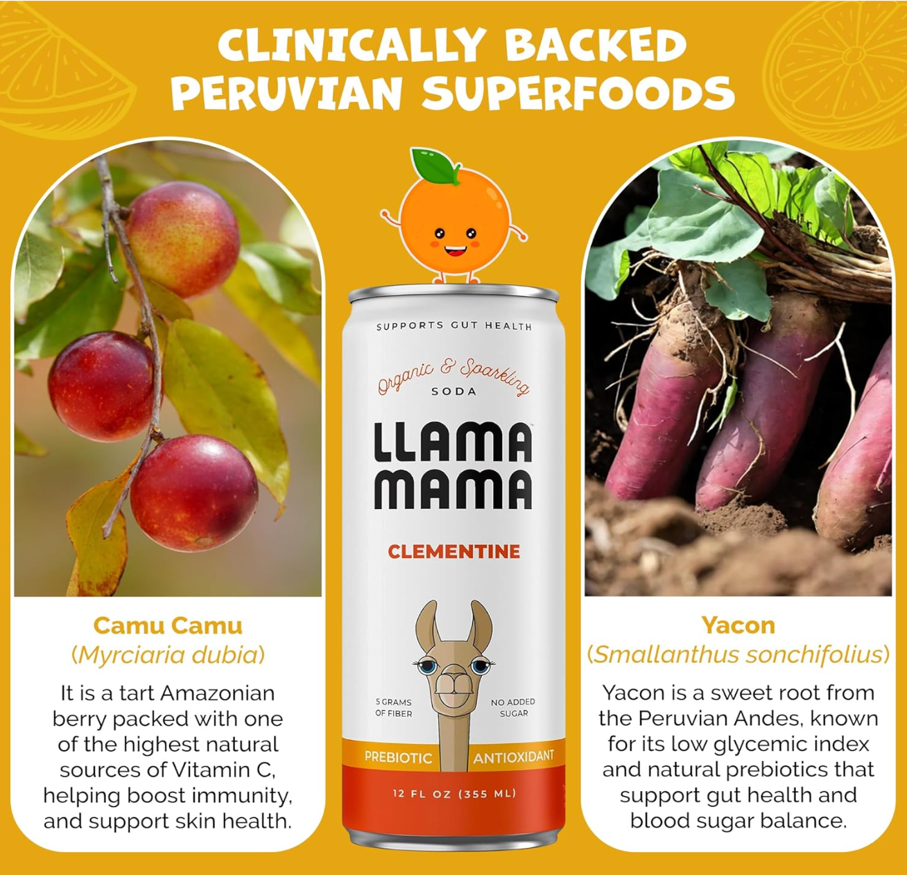 Llama Mama - Wholesale Soda/Carbonated Drink - Clementine 5