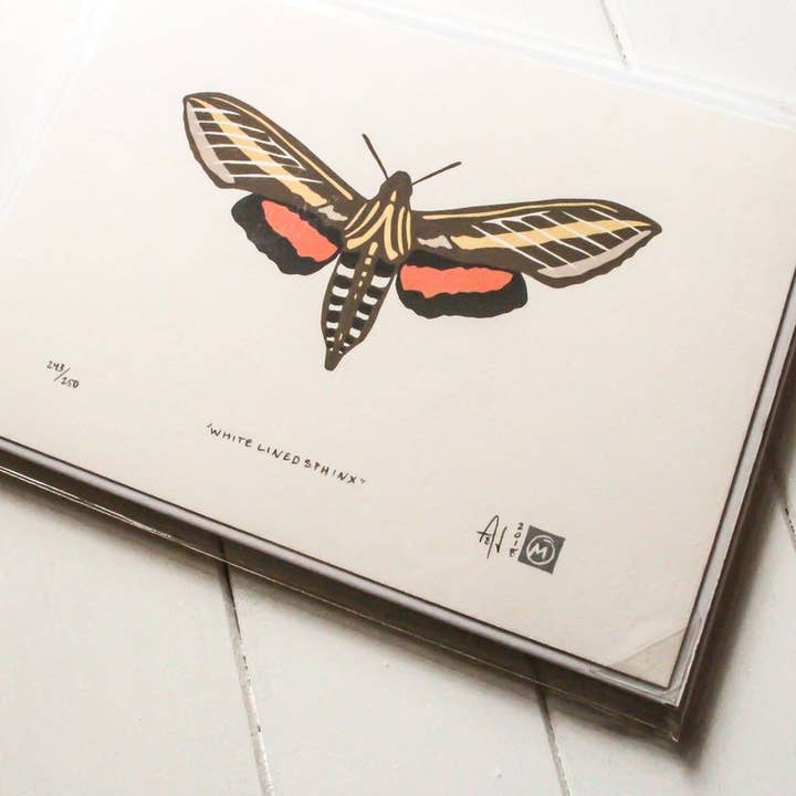 "White Lined Sphinx Moth" Fine Art Limited Edition Serigraph for wholesale by Midnight Oil Studio & Workshop