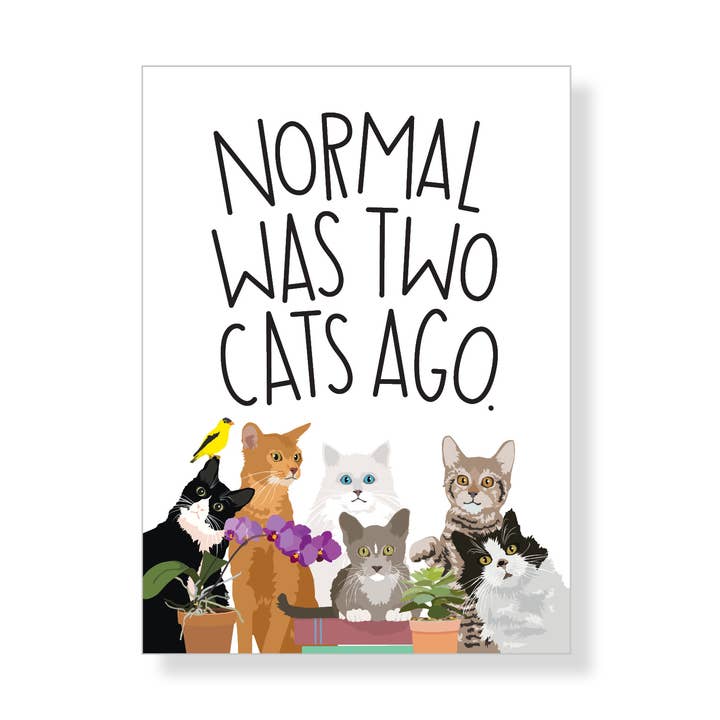 Normal era hace dos gatos, imán de regalos para venta al por mayor de Apartment 2 Cards