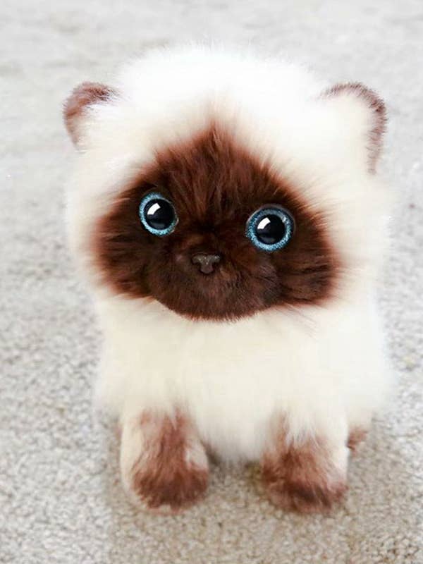 Kawai - Siamese Cat Plush Toy for wholesale by Funkyrel® Atzbranding Limited