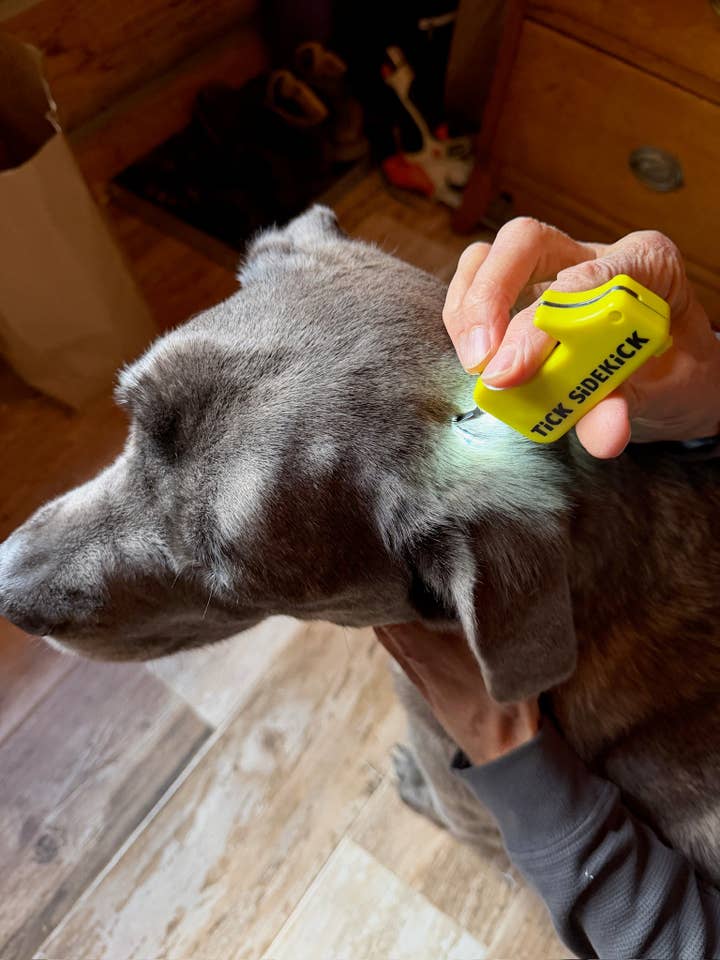 TiCK SiDEKiCK for wholesale by TiCK MiTT