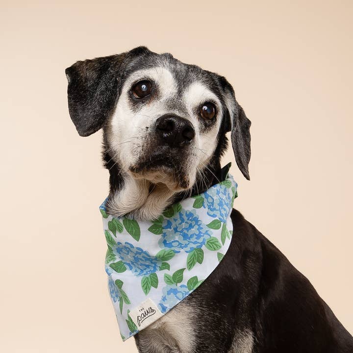 The Paws - Wholesale Pet Bandana - Dog - Sconset Dog Bandana2