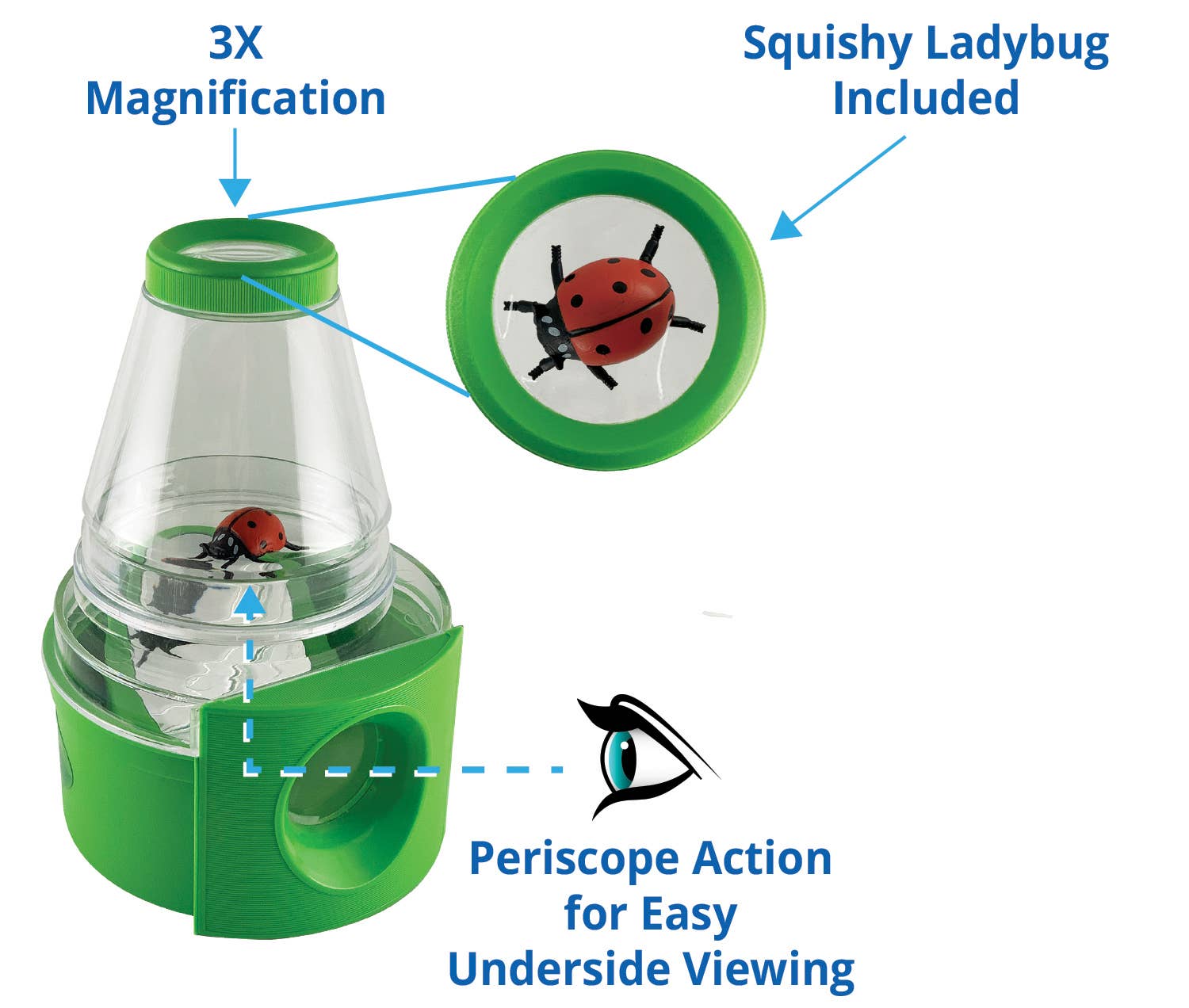 INSECT LORE - Wholesale Toy Set - Kids - Creature Peeper®1