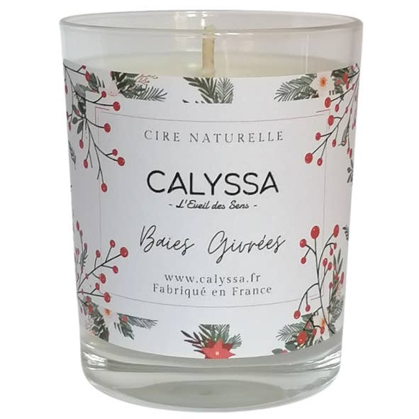 Pack implantation Noël -5% pour la vente par Calyssa